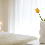 Vasi Luxury Apartament *