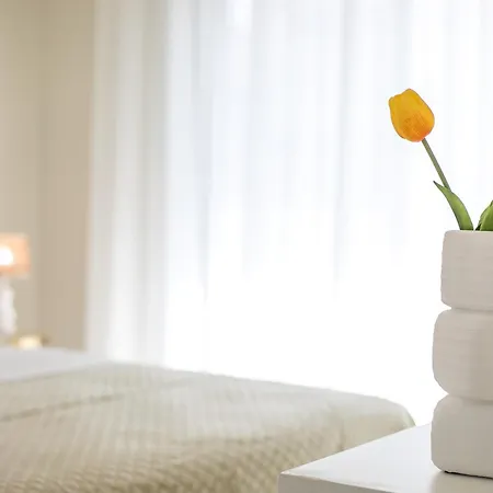 Vasi Luxury Apartman *