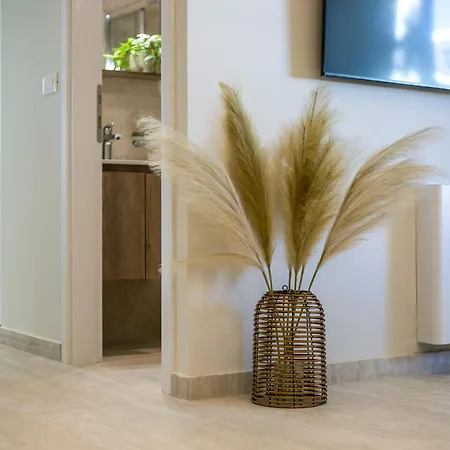 דירה Vasi Luxury עיר רודוס